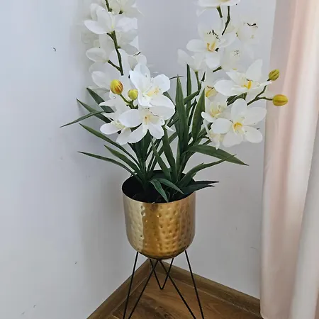 דירה Biala Perla גדנסק