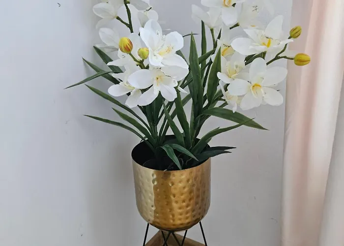 Apartman Biala Perla Gdańsk